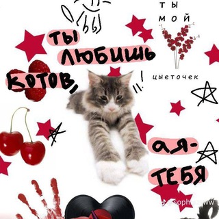 Оценки гс