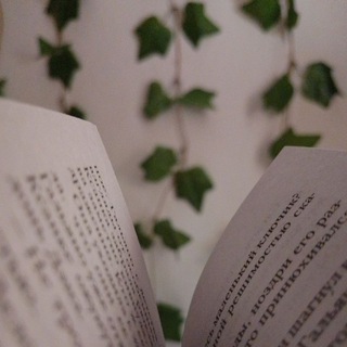 Nara and Books💋