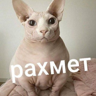 рахмет