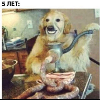Random Memes