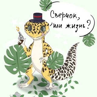 ReptoHouse