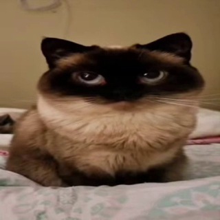 Ничего