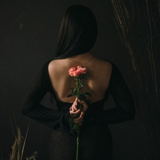 ANNA VLDN