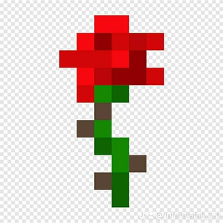 Kfg-server_apollon