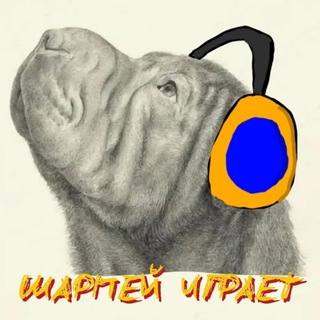 Шарпей Играет