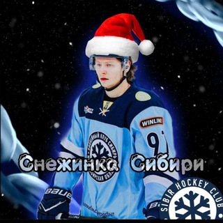 Снежинка Сибири❄️