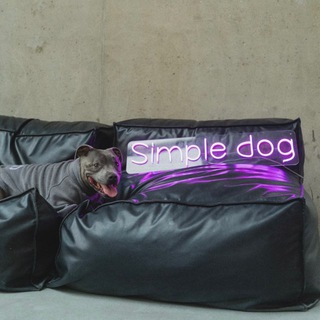 Simple Dog | одежда для людей и собак