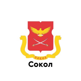 Сокол