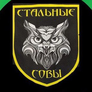 🦉Стальные совы 10-11🦉