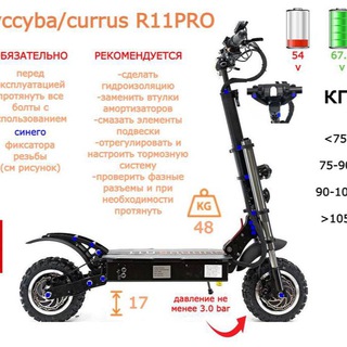 Syccyba / Currus