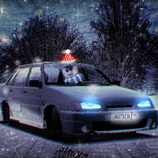 T1m3r Dsg