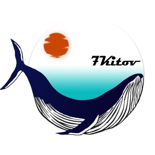 7Kitov Tour