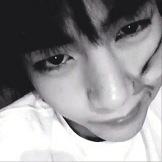 TAE08.M