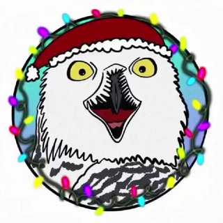 Биполярная сова 🦉 | Про зверят 🐾