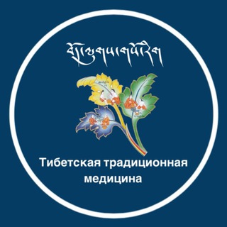 Dr, Джампил