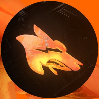 Team Coyotes