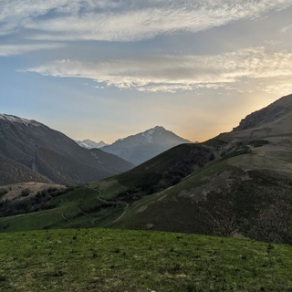 Tramps_Vl