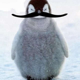 TuFi COMMUNITY🐧