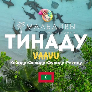🏝️ ТИНАДУ🇲🇻VAAVU ЧАТ МАЛЬДИВЫ