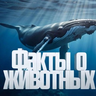 ФАКТЫ О ЖИВОТНЫХ