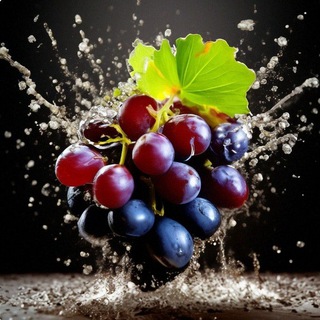 VINOgrad.VL🍇