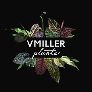 VMILLER plants🌱