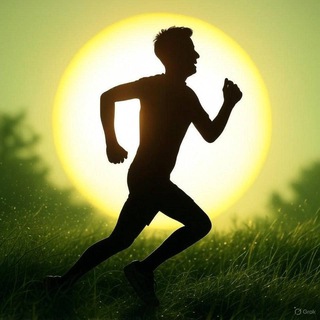 VibeFit