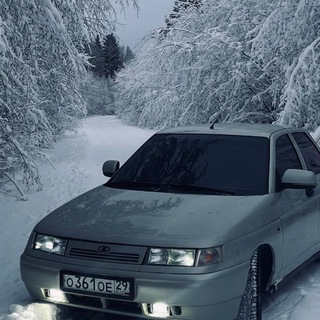 Denzik_29