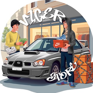 Vigerstore54