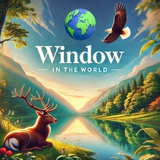Window in the World 🌎