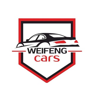 WEIFENG_CARS Авто из Китая