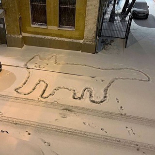 Weird Street Signs