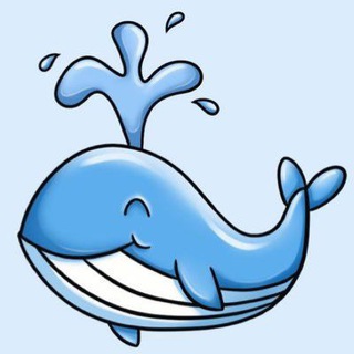 Whale News 🗞️ 🐋