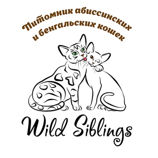 Wild Siblings