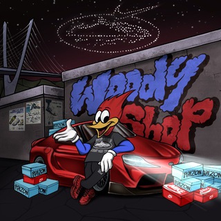 Woody Shop in Stock