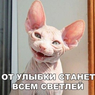 ХОХМА