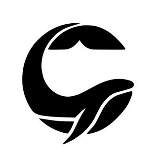 X VISlON (Position)