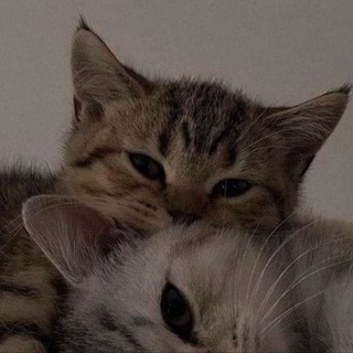 Я хочу