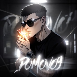 DOMOVOY YT
