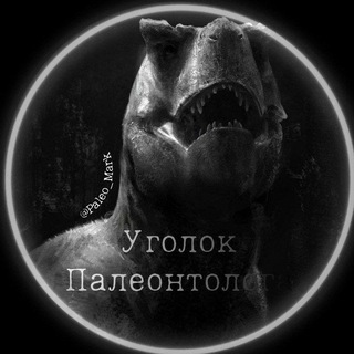 Уголок Палеонтолога