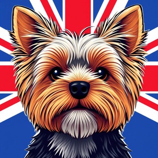 YorkEnglishClub