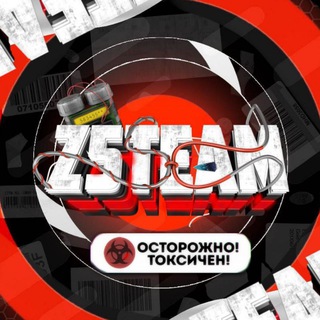 Z5Teams