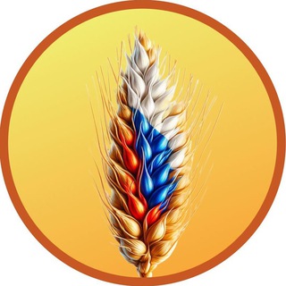 ЗЕРНО АГРО РОССИЯ