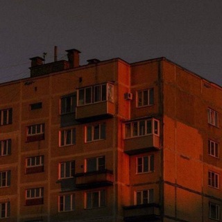 Loneless Vibe