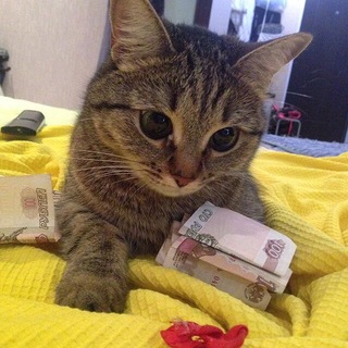 AbajePlay