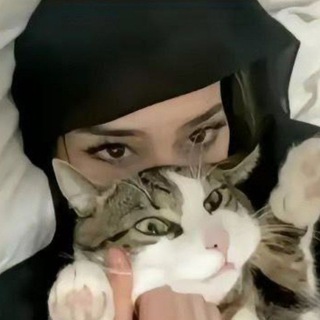 Абуз Схемы заработка