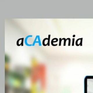 aCAdemia CA Final Discussion Group