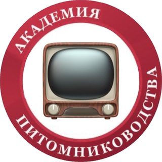 Лекции