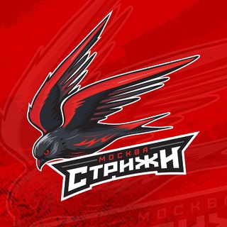 АКАДЕМИЯ СПОРТА СТРИЖИ МОСКВА
