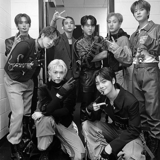 archive stray kids (закрыто)